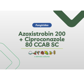 AZOXISTROBIN 200 CIPROCONAZOLE 80 CCAB SC 4 X 5L