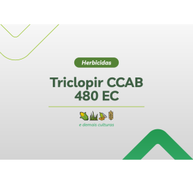 TRICLOPIR CCAB 480 EC 20L