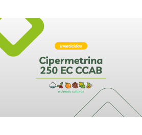 CIPERMETRINA 250 EC CCAB 20L