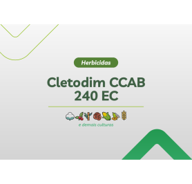 CLETODIM CCAB 240 EC 20L