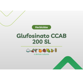 GLUFOSINATO CCAB 200 SL 4 X 5L